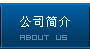 公司簡介